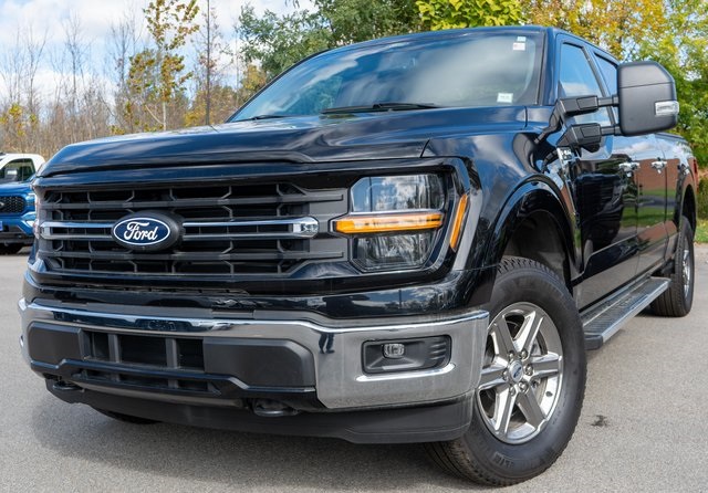 2024 Ford F-150 XLT's photo