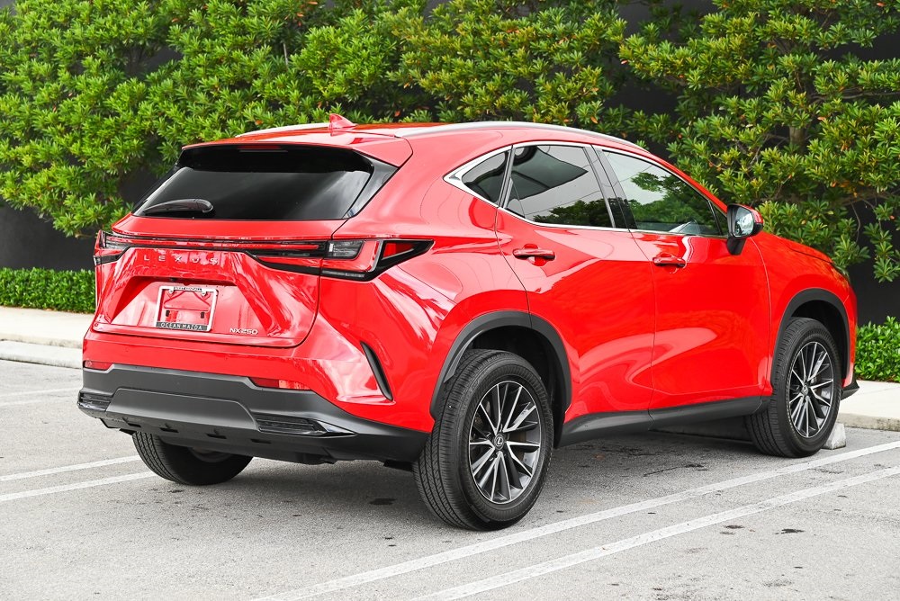 2024 Lexus NX 250 Premium photo 4