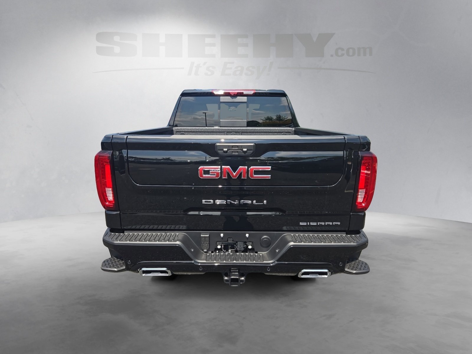 2025 Gmc Sierra 1500 Denali photo 4