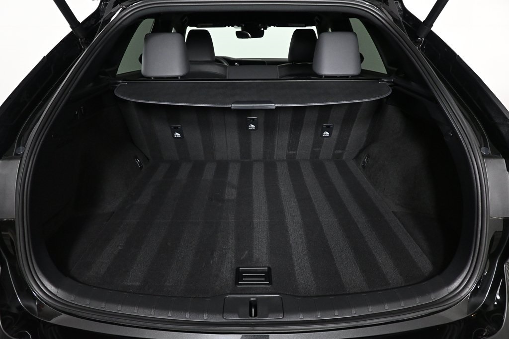 2024 Lexus RX 350 photo 24