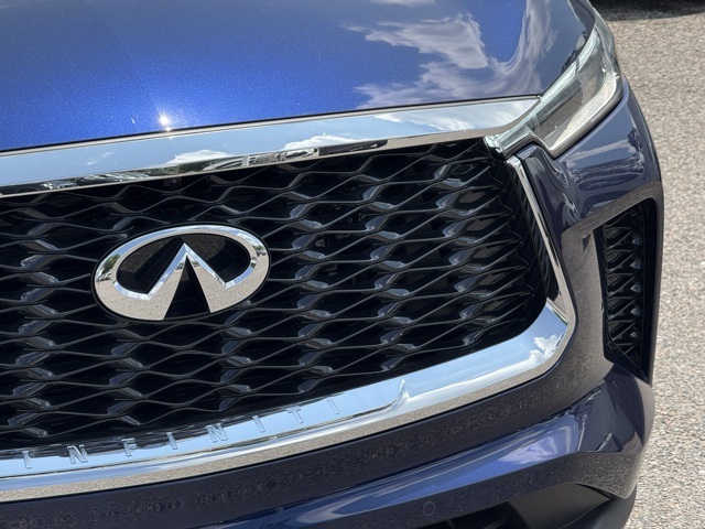 2025 Infiniti QX60 Luxe photo 4