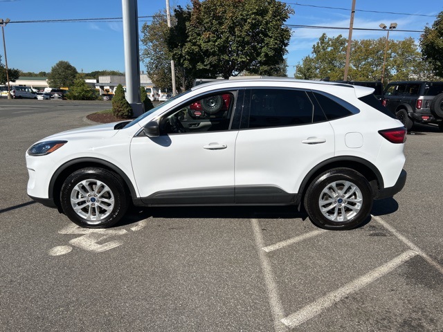 2022 Ford Escape SE photo 3