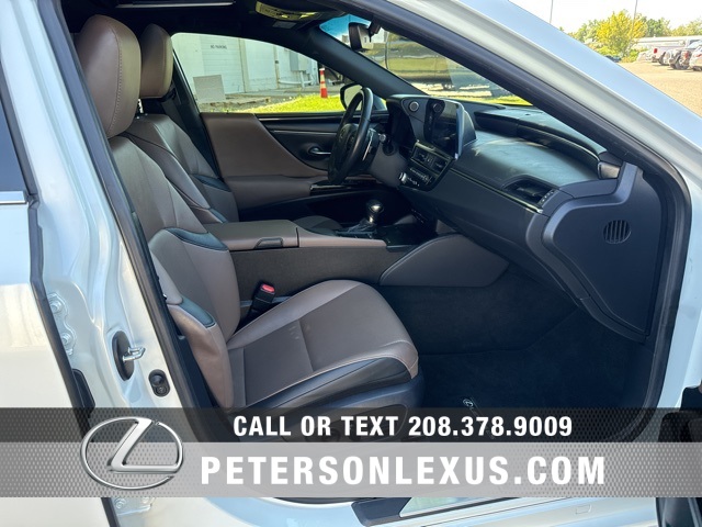 2022 Lexus ES 300h photo 13