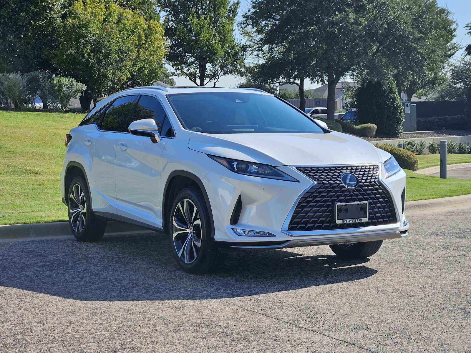 2022 Lexus RX 350 photo 2