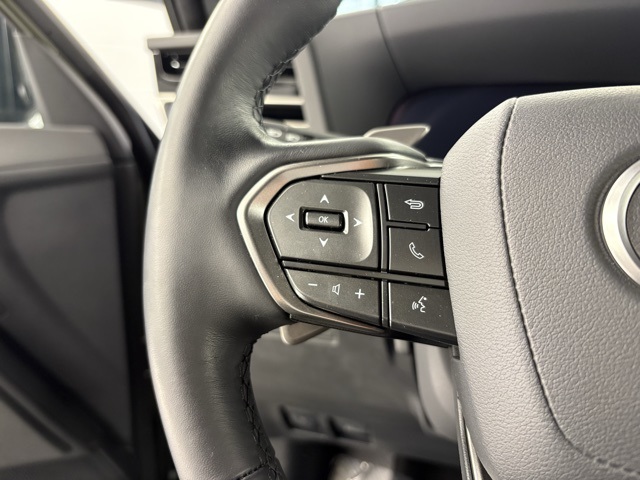 2024 Lexus GX 550 Overtrail photo 8