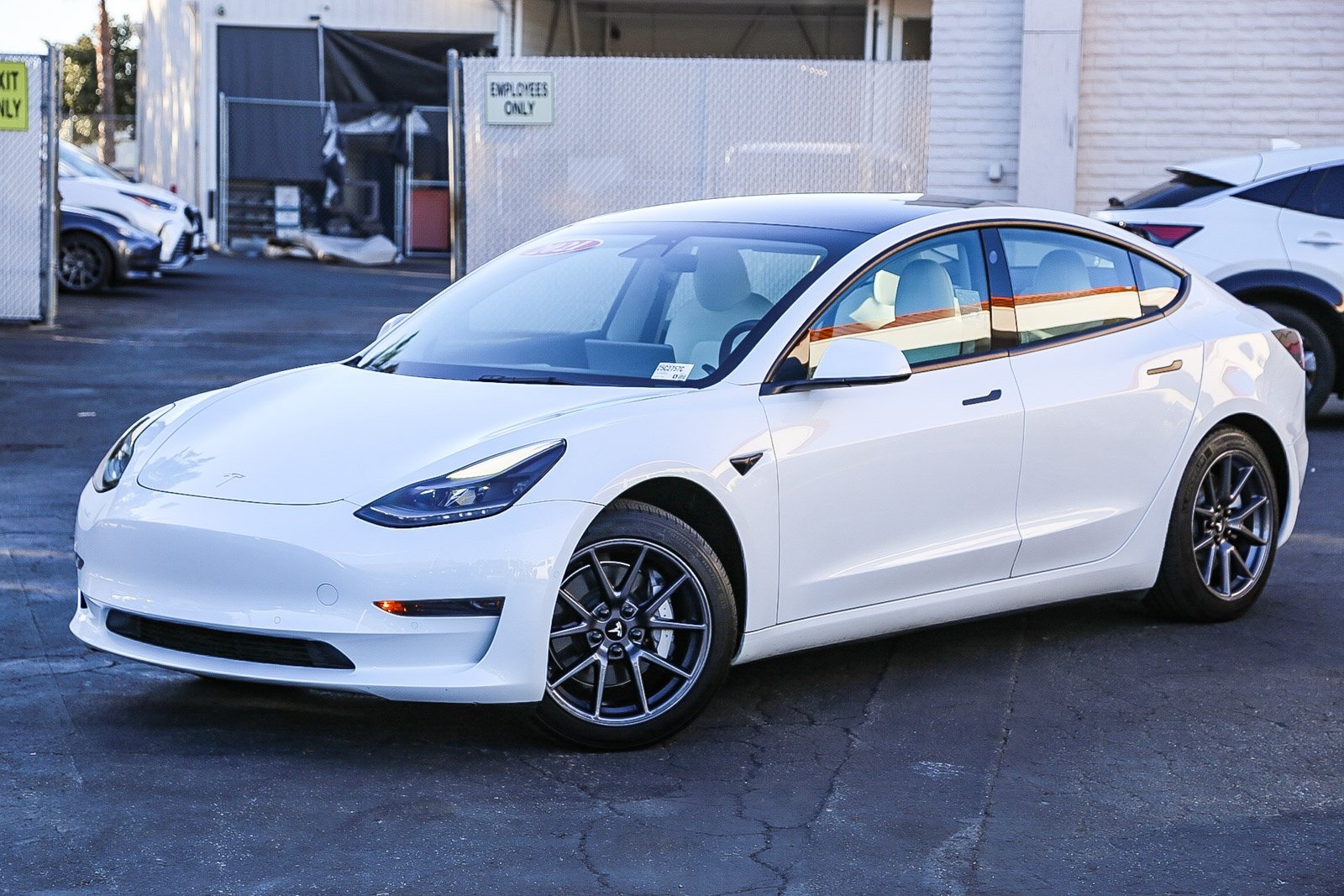 2021 Tesla Model 3 Base's photo