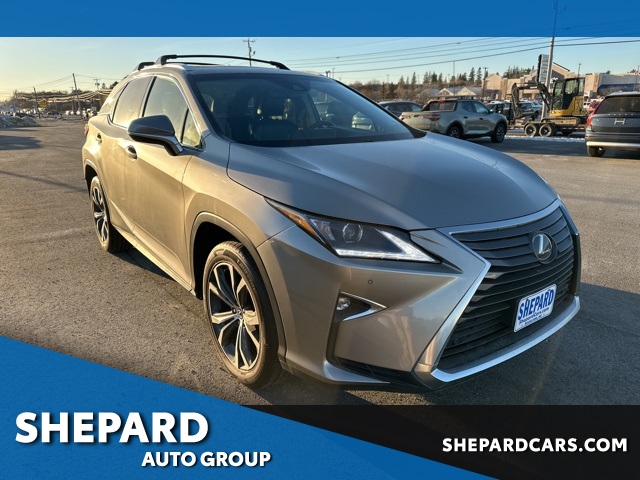 2018 Lexus RX 350's photo