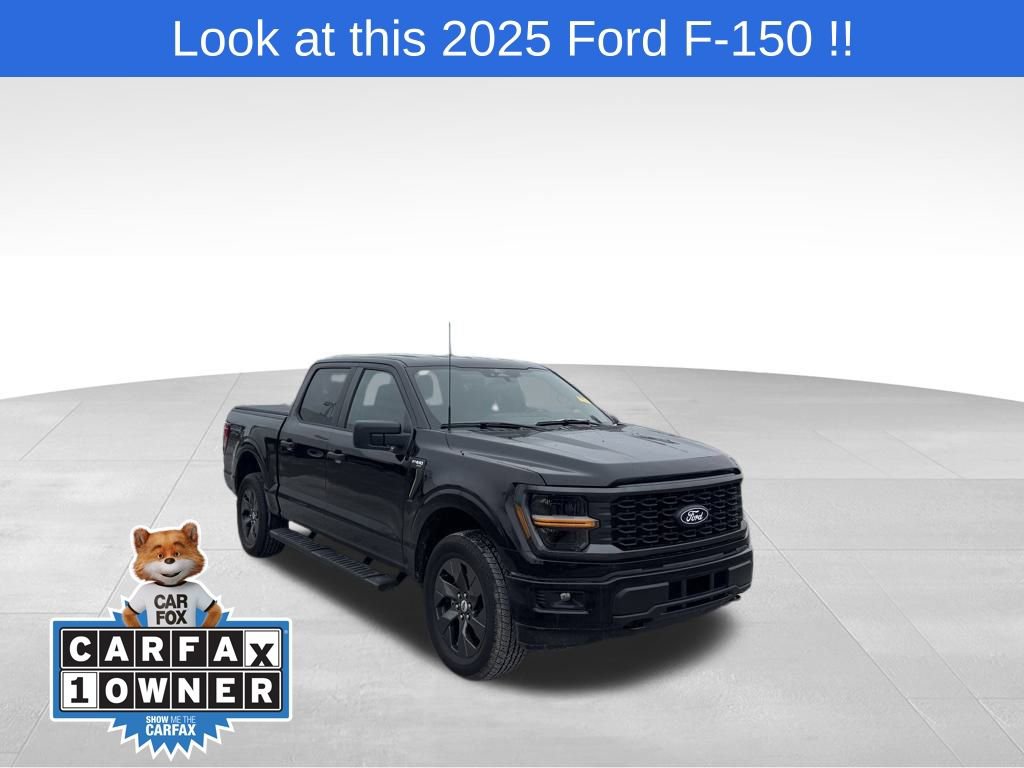 2025 Ford F-150 STX's photo