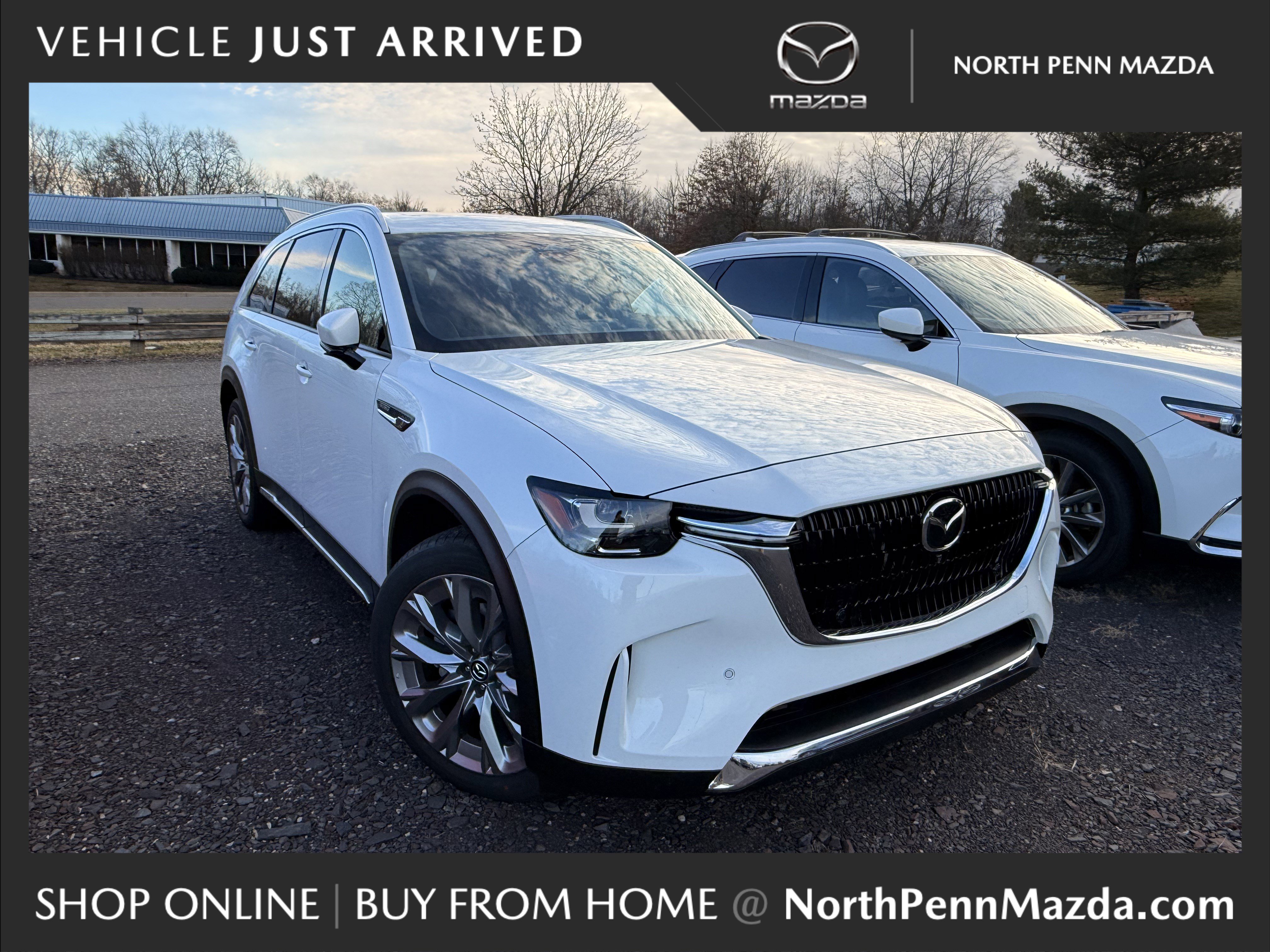 2025 Mazda CX-90 Premium Plus Package's photo