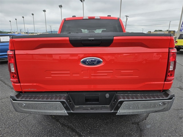 2023 Ford F-150 XLT photo 6
