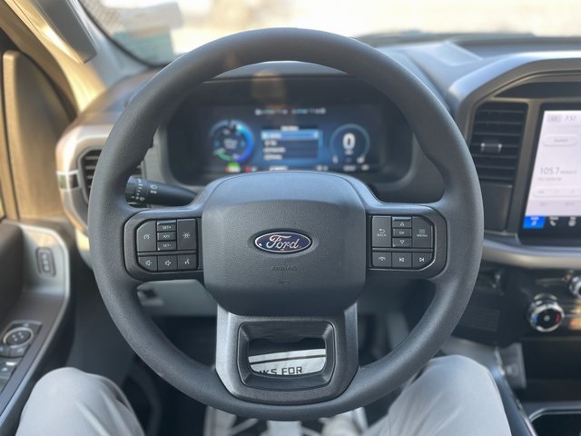 2025 Ford F-150 Lightning photo 20