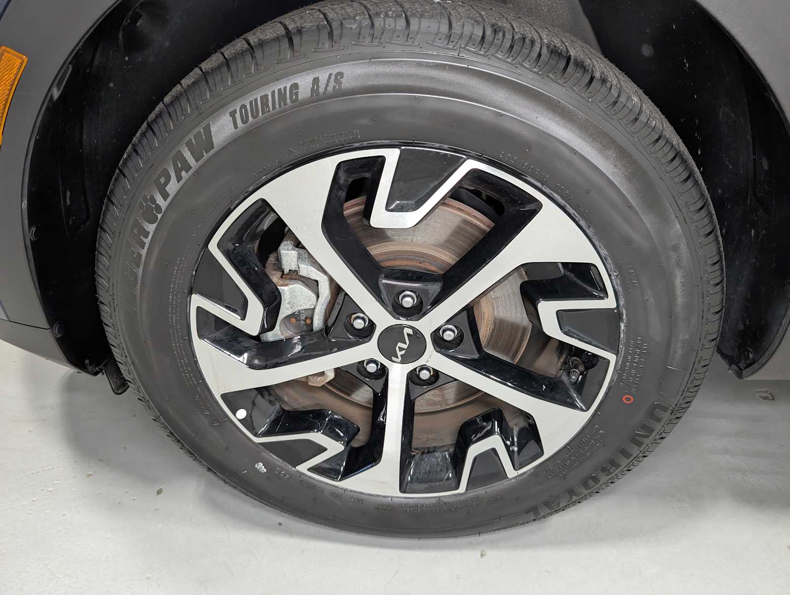 2024 Kia Sportage Hybrid EX photo 3