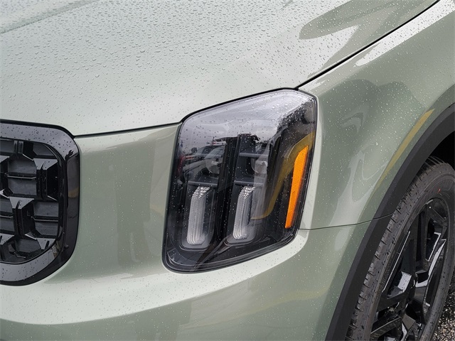 2025 Kia Telluride SX Prestige X-Line photo 9