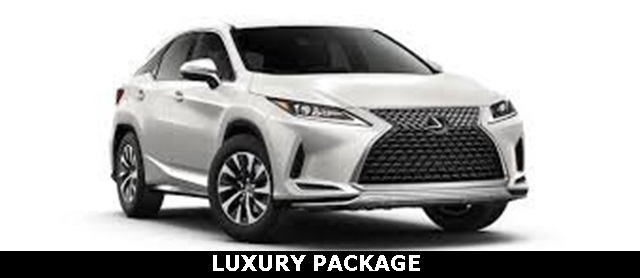 2022 Lexus RX Hybrid 450h's photo