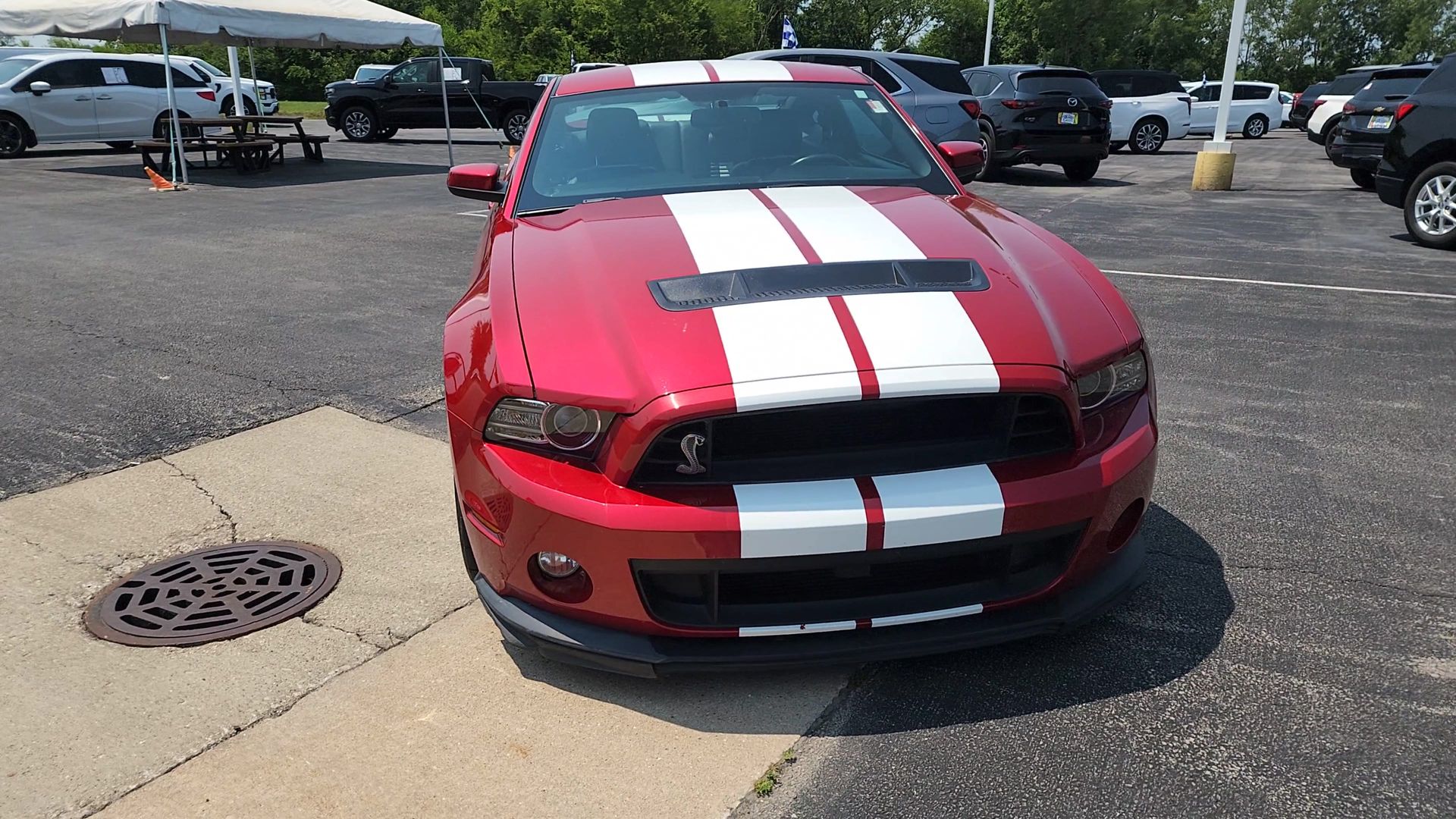 2013 Ford Mustang Shelby GT500 photo 2