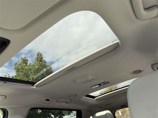 2026 Kia Carnival SX Prestige photo 4