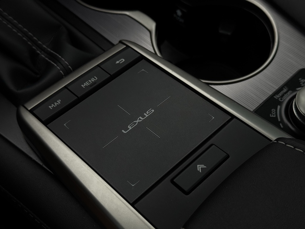 2022 Lexus RX 350 F SPORT Handling photo 29