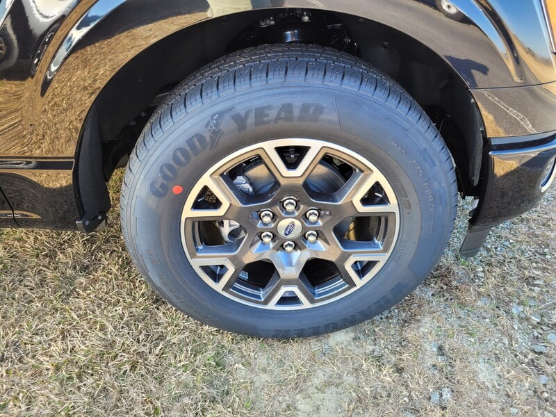 2024 Ford F-150 STX photo 14