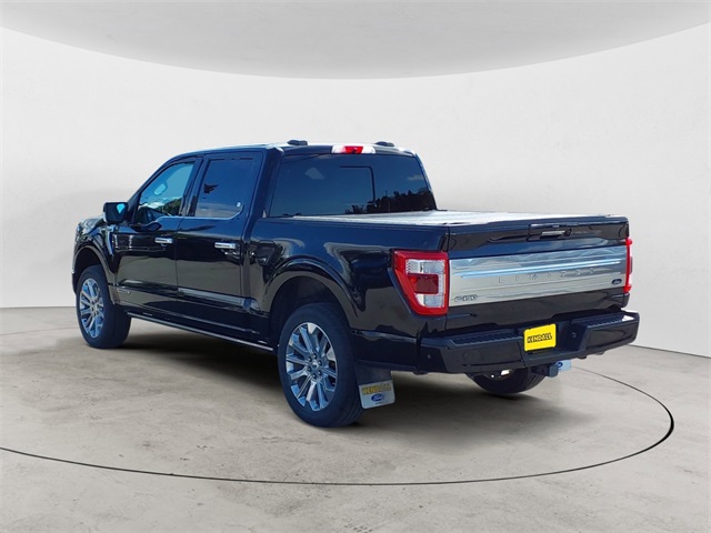 2021 Ford F-150 Limited photo 3