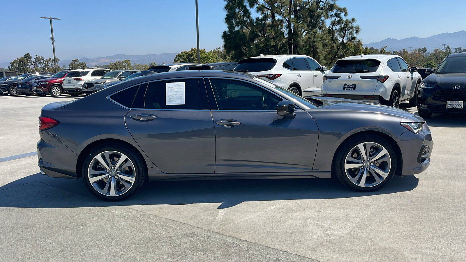 2023 Acura TLX Advance SH-AWD photo 6