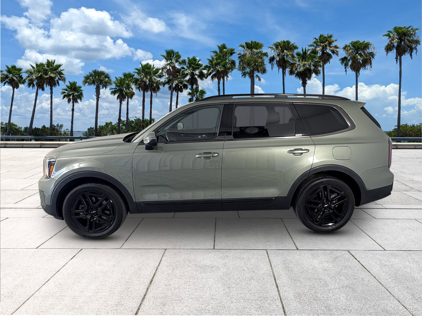 2024 Kia Telluride EX X-Line photo 4