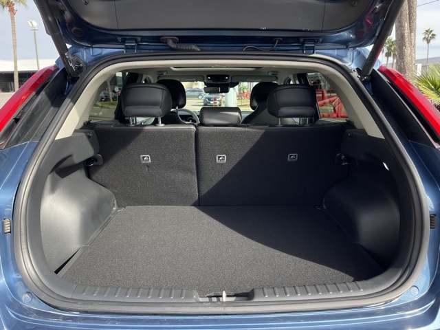 2023 Kia Niro EV Wave photo 6