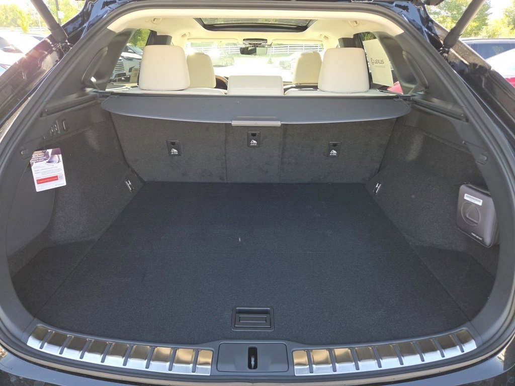 2025 Lexus RX 350 Luxury photo 24