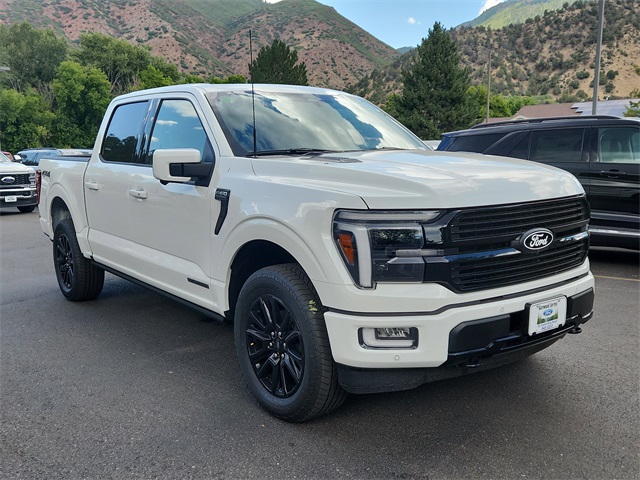 2025 Ford F-150 Platinum's photo