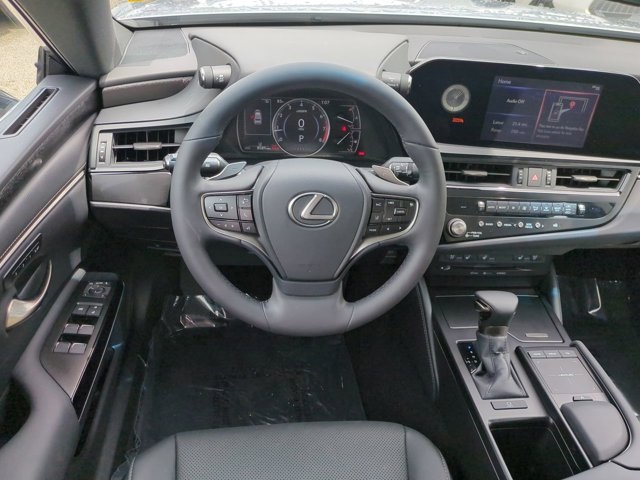 2022 Lexus ES 250 photo 15
