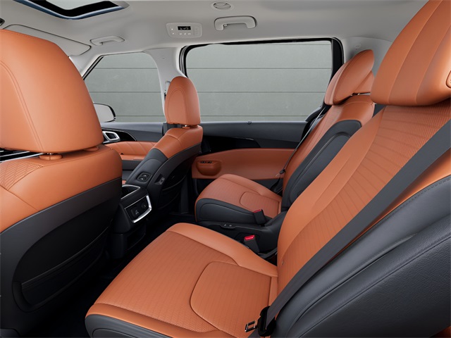 2026 Kia Carnival SX Prestige photo 16