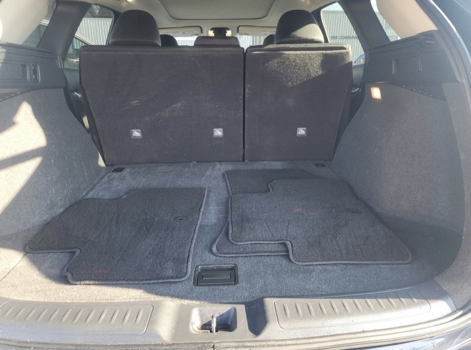 2024 Infiniti QX50 Luxe photo 10