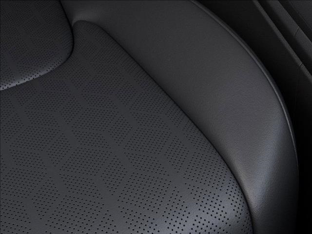 2025 Kia Carnival SX photo 23