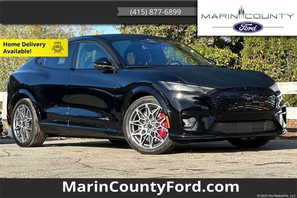 2025 Ford Mustang Mach-E GT AWD's photo