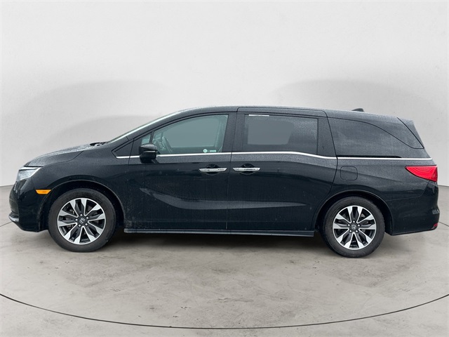 2024 Honda Odyssey EX-L photo 2