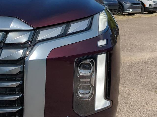 2024 Hyundai Palisade Calligraphy photo 10