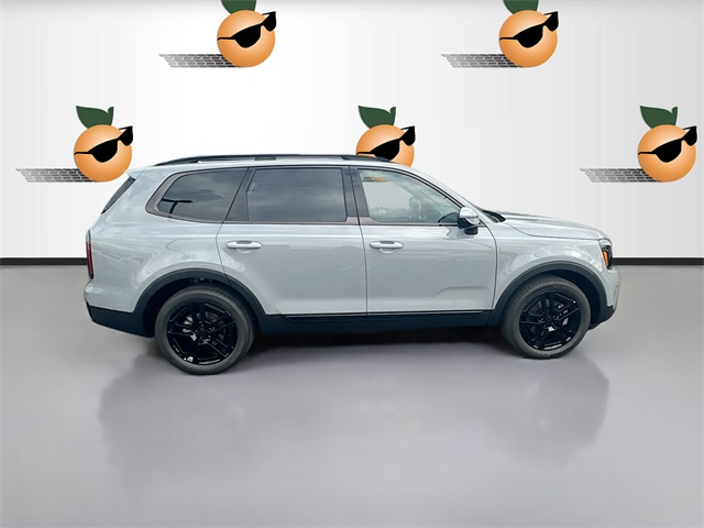 2025 Kia Telluride SX Prestige X-Line photo 5