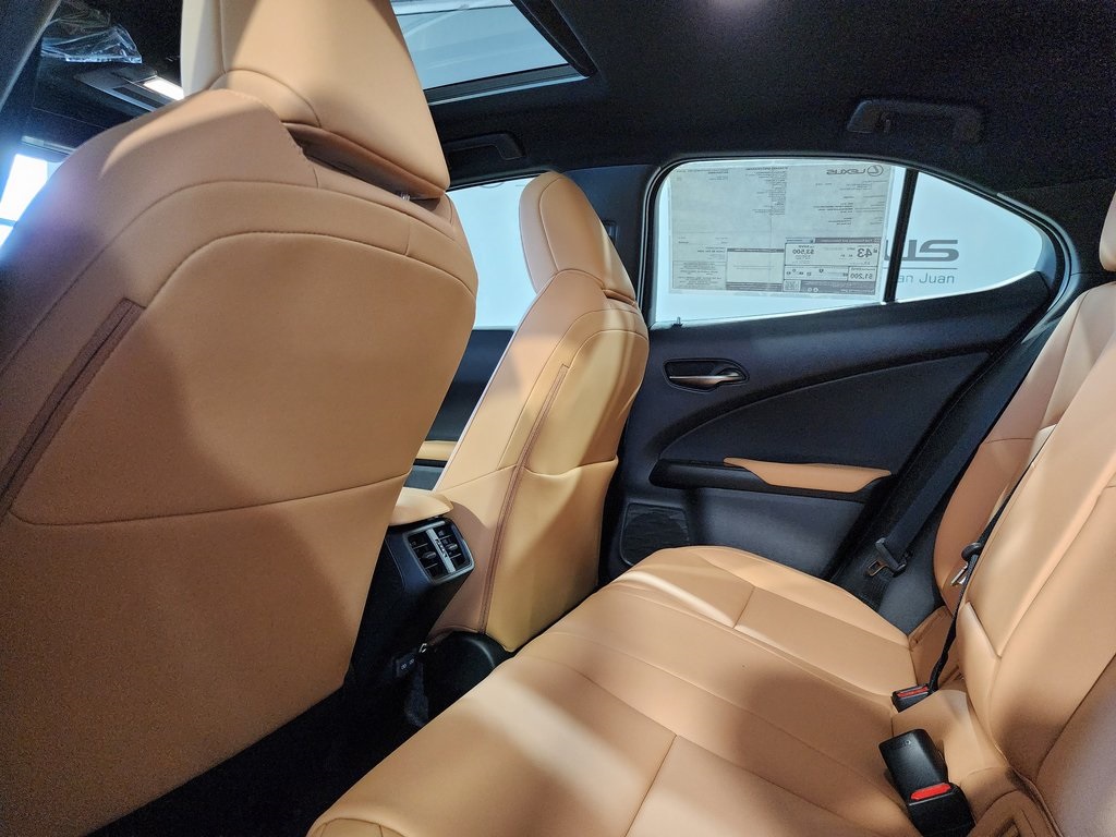 2025 Lexus UX photo 21