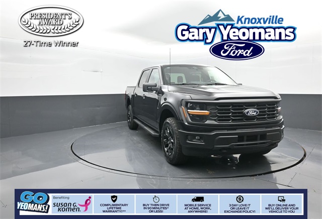 2025 Ford F-150 STX's photo