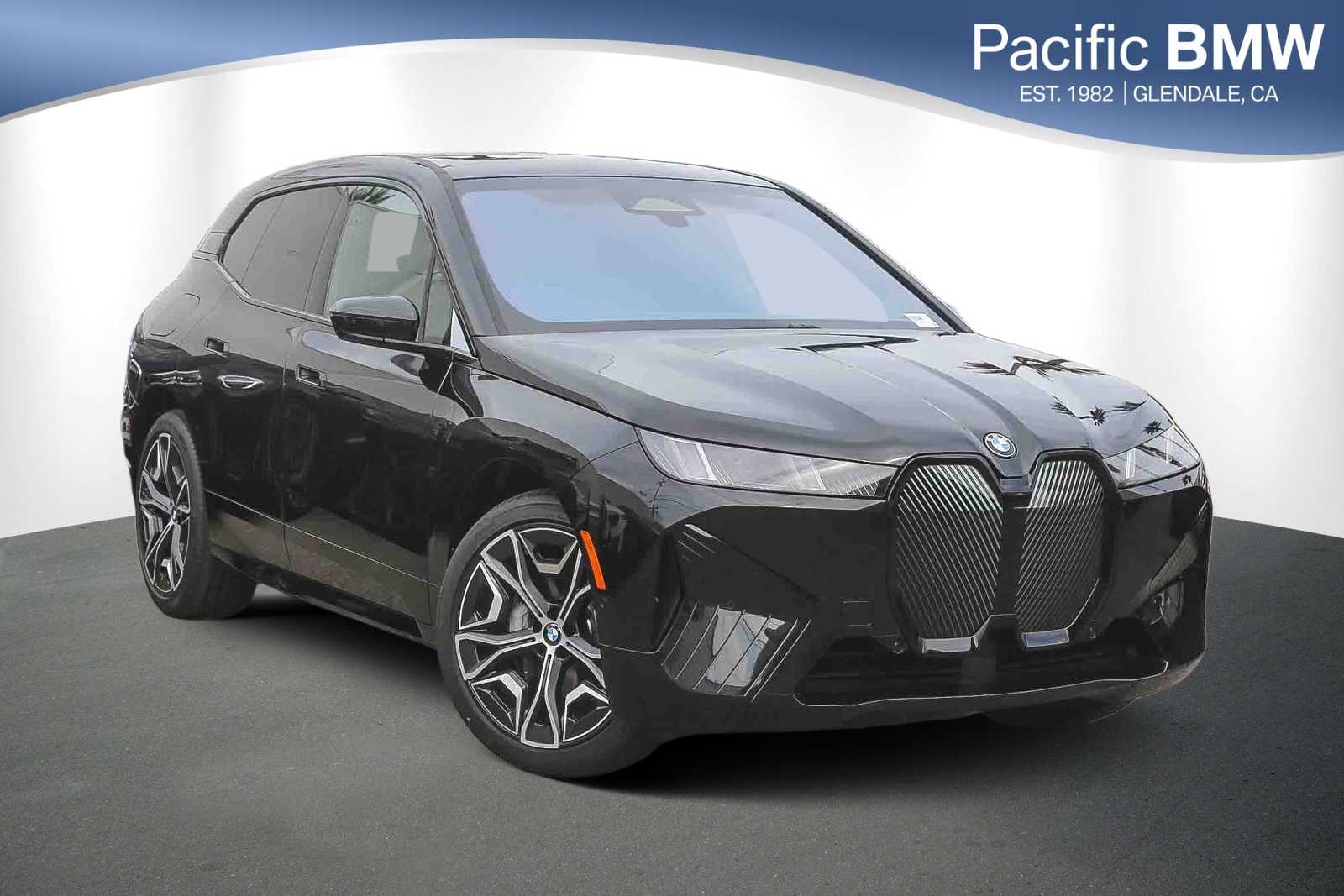 2026 BMW iX 60's photo