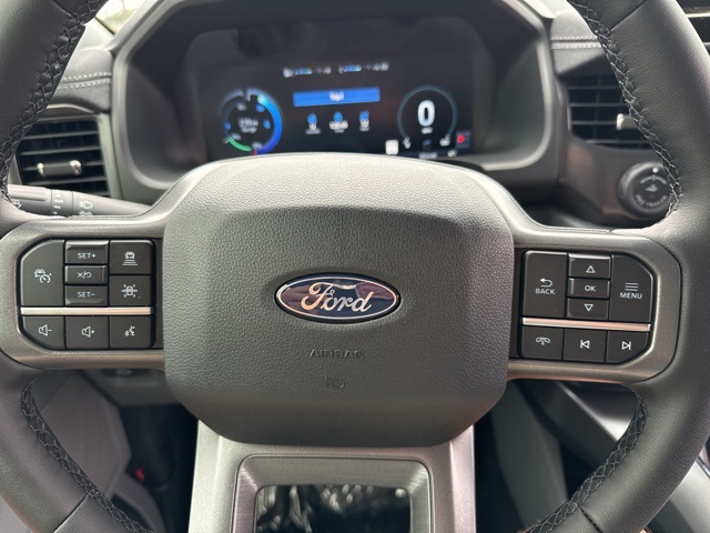 2025 Ford F-150 Lightning photo 28