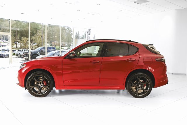 2025 Alfa Romeo Stelvio Tributo Italiano photo 32