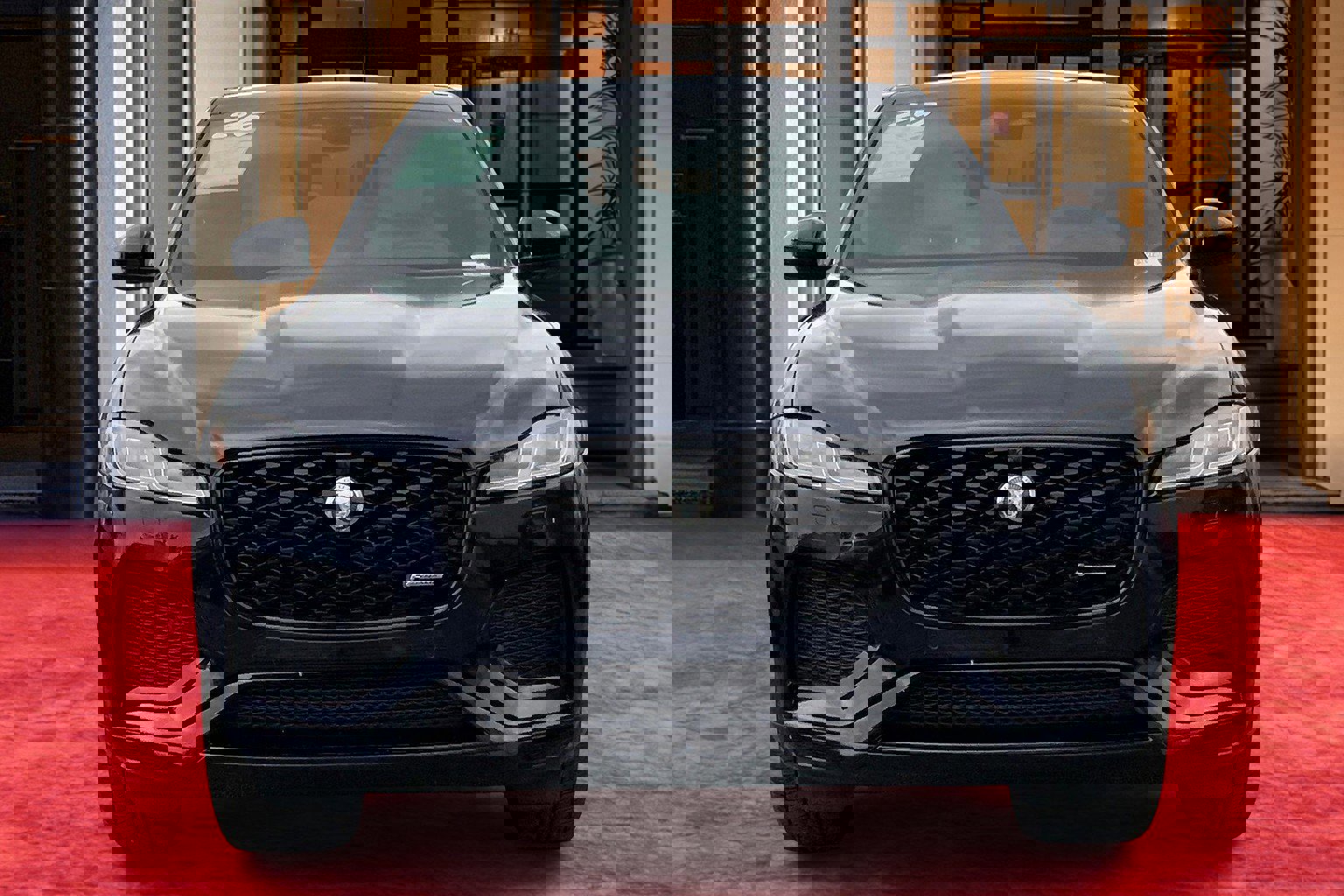 2025 Jaguar F-PACE P250 R-Dynamic S photo 3