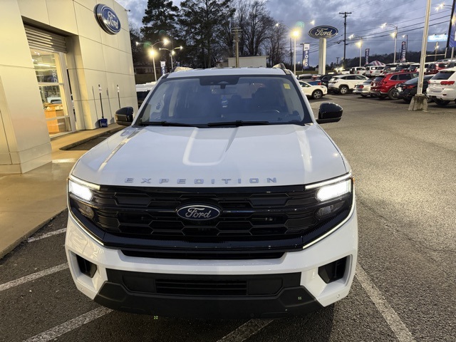 2025 Ford Expedition Active's photo