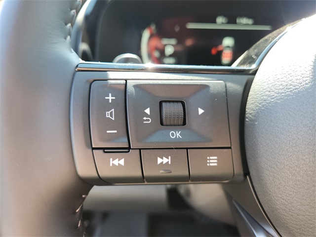 2025 Nissan Pathfinder Platinum photo 17