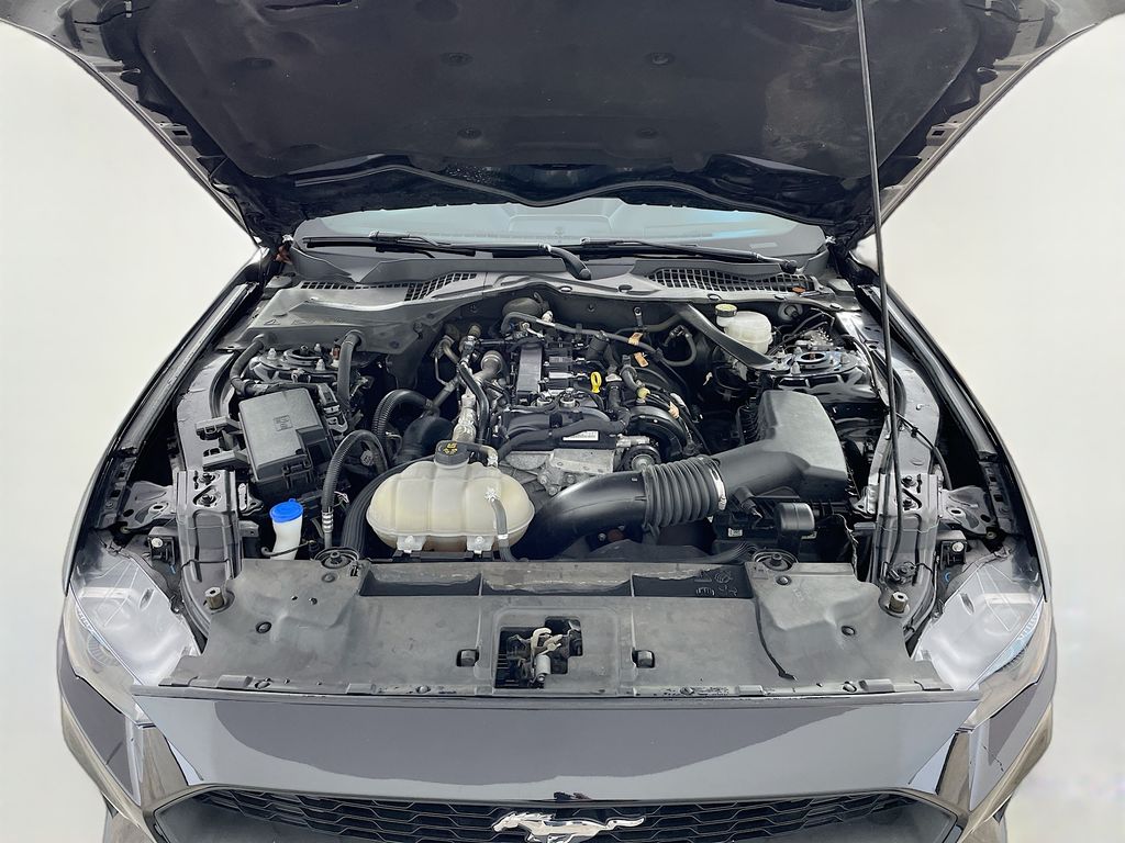2023 Ford Mustang EcoBoost Premium photo 31