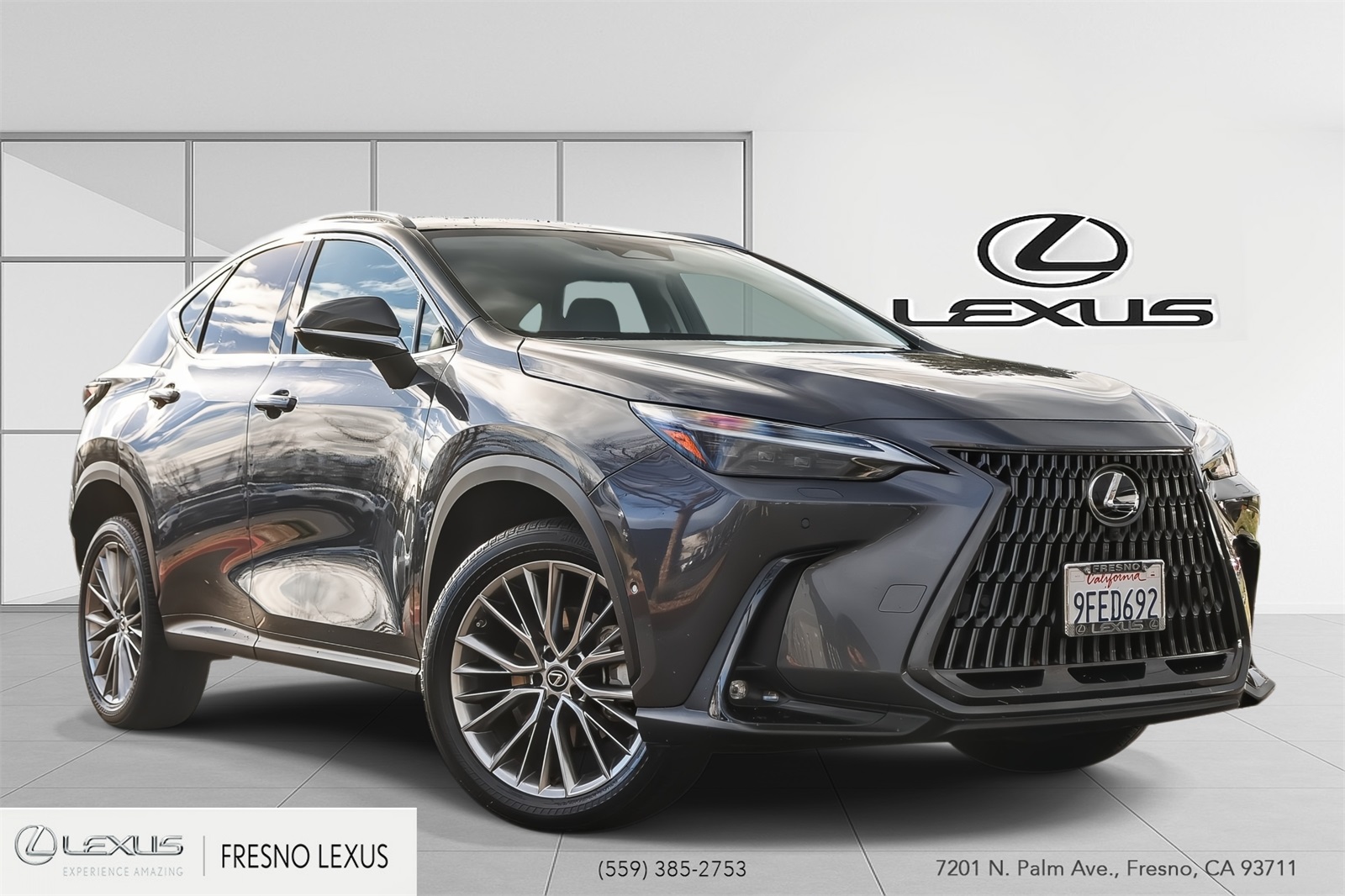 2023 Lexus NX Hybrid 350h's photo
