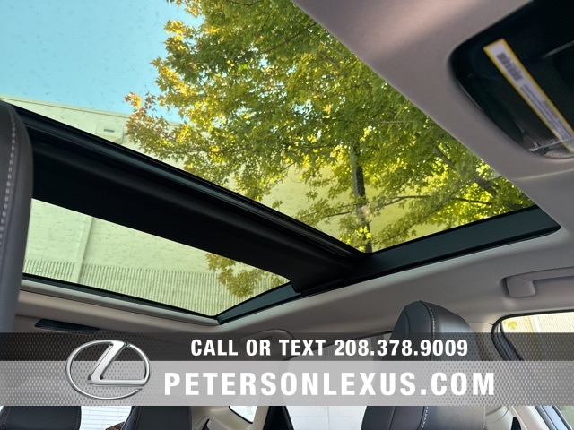 2026 Lexus NX 350h Luxury AWD photo 11