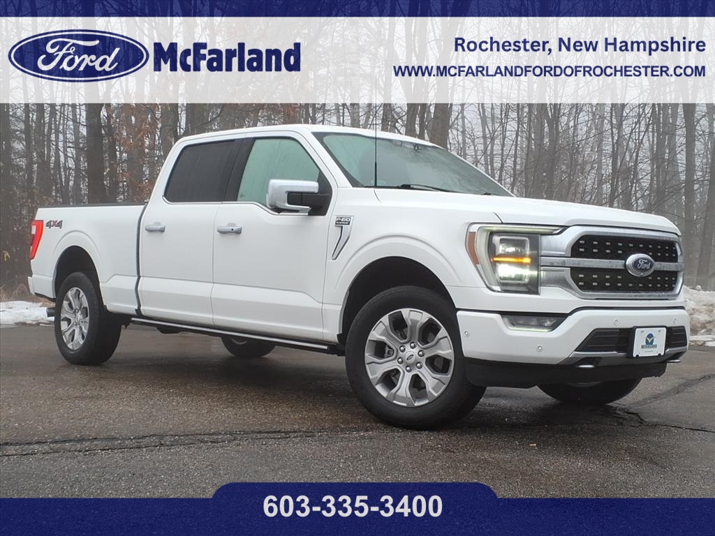 2022 Ford F-150 Platinum's photo