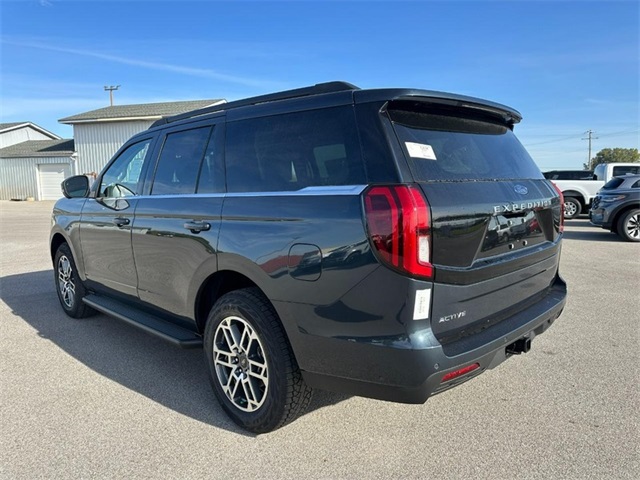 2025 Ford Expedition photo 3