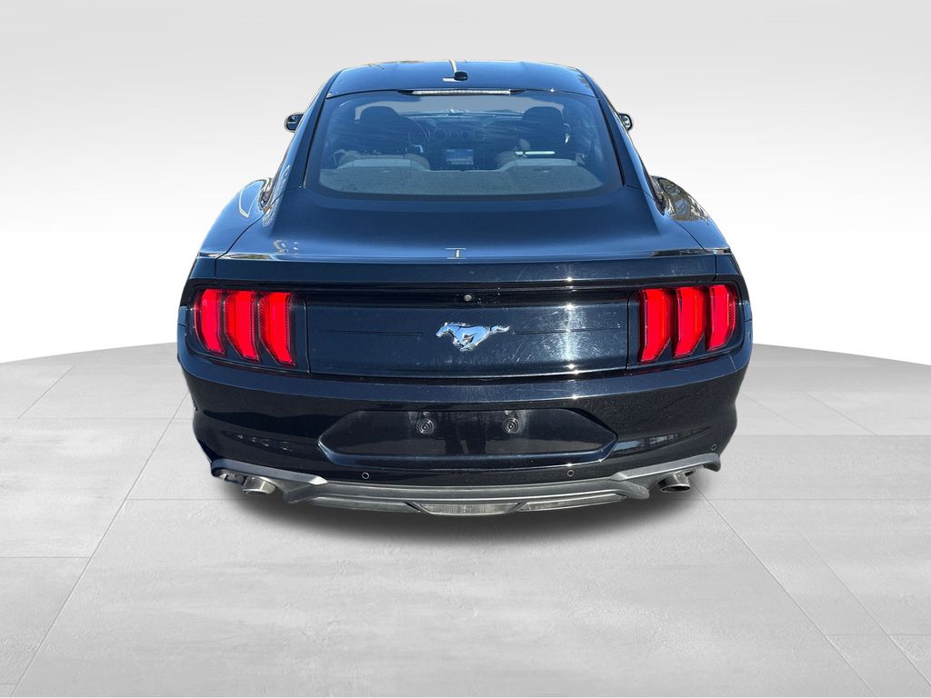2019 Ford Mustang EcoBoost photo 4